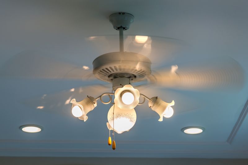 Ceiling Fan Mounting in Conroe, TX